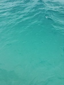 Azul da Cor do Mar