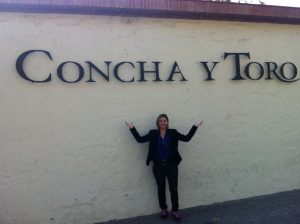 Concha y Toro - Chile