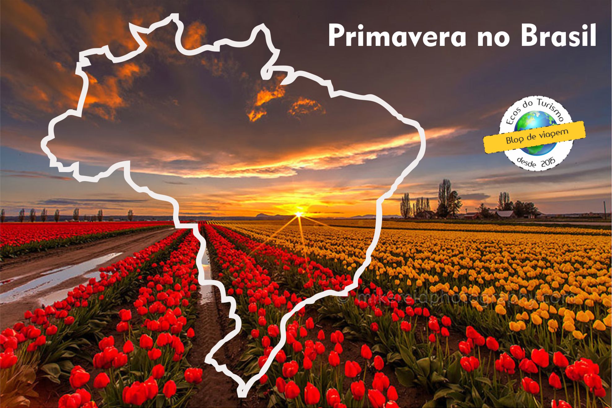 Turismo das Flores, alguns destinos para visitar na Primavera no Brasil Ecos Turismo