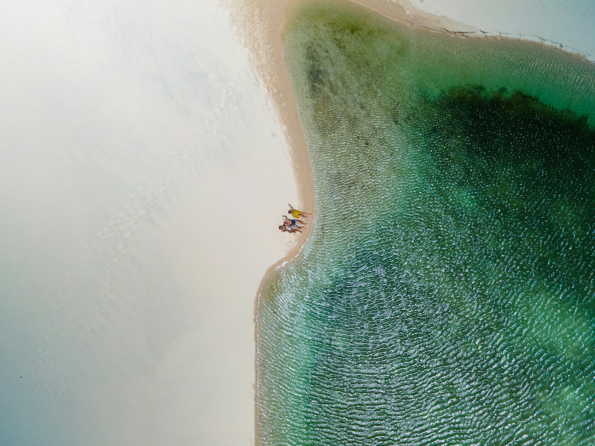 Fernando de Noronha: Guia Completo para Sua Primeira Visita