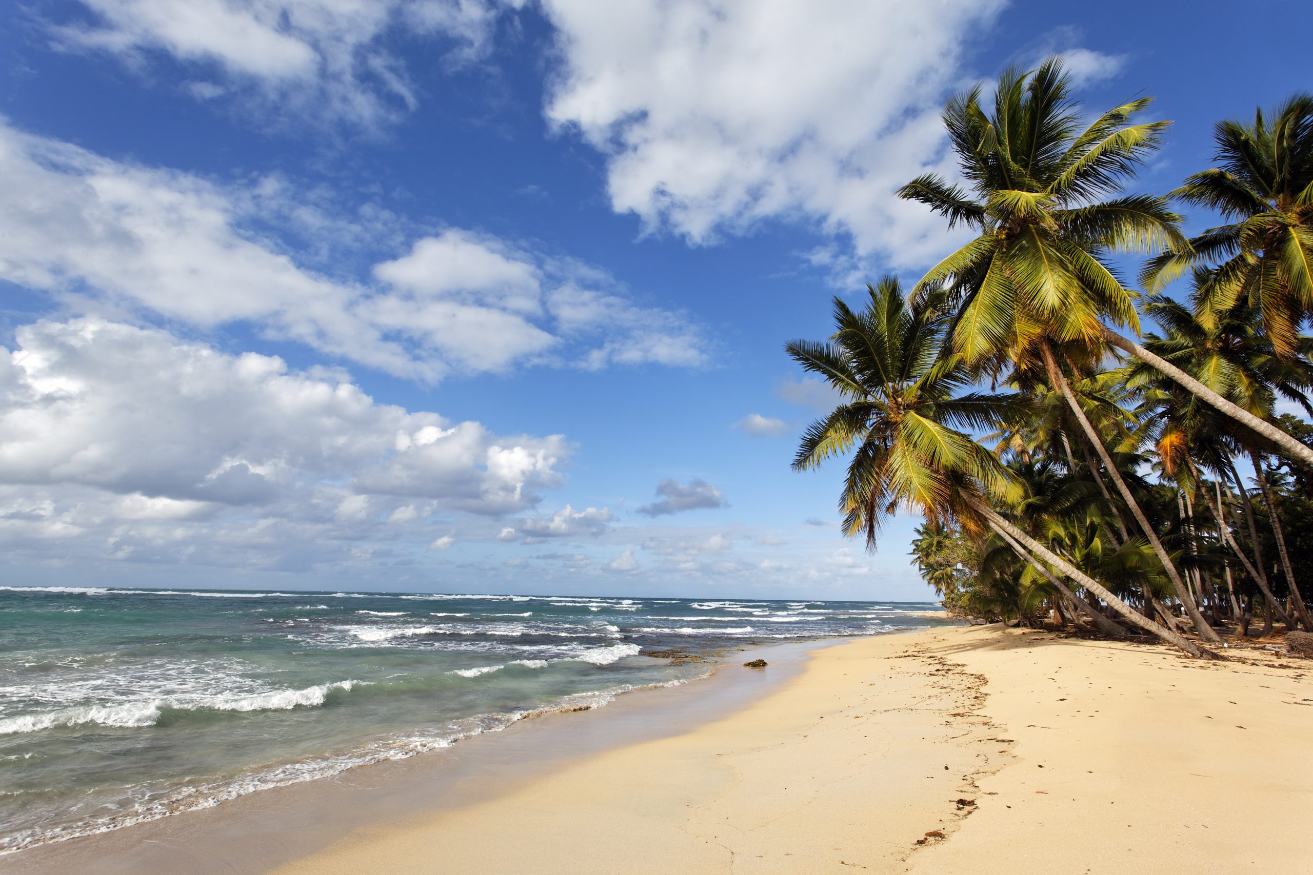 10 praias da Bahia que você precisa visitar