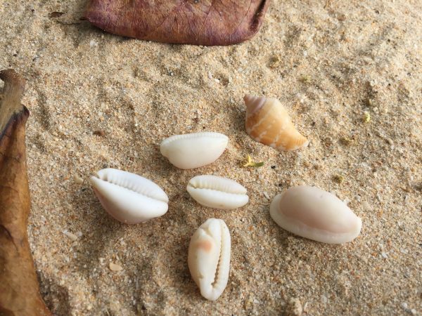 Phuket e Koh Phi Phi Don