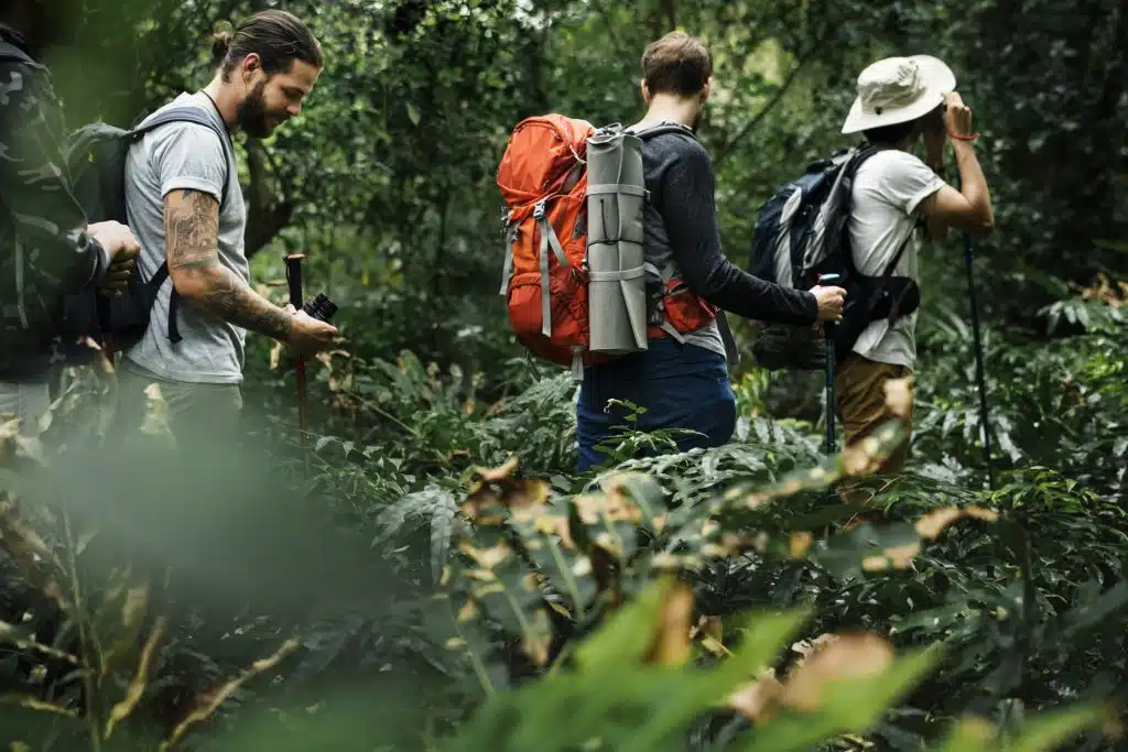 Os Destinos de Ecoturismo Mais Incríveis do Brasil